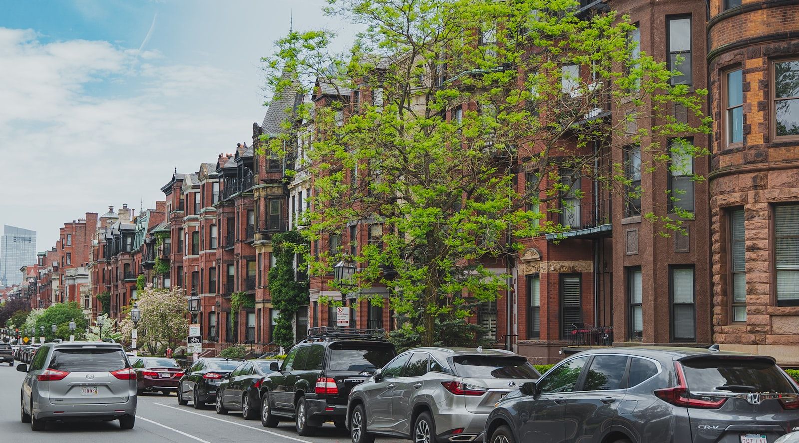 A tree-lined street of red-brick terraced houses with cars parked outside